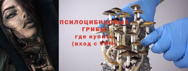 бутират Инта